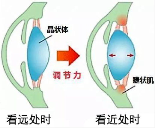 儿童视力防控小常识！